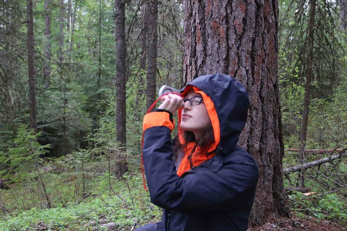 (Photo by MARY MALONE)
Heaven Shalbreck, a sophomore at Lake Pend Oreille High School, peers through a clinometer to determine the height of a tree in the timber cruising portion of the Idaho State Forestry Contest on Thursday, held at the Delay Farm in Careywood.