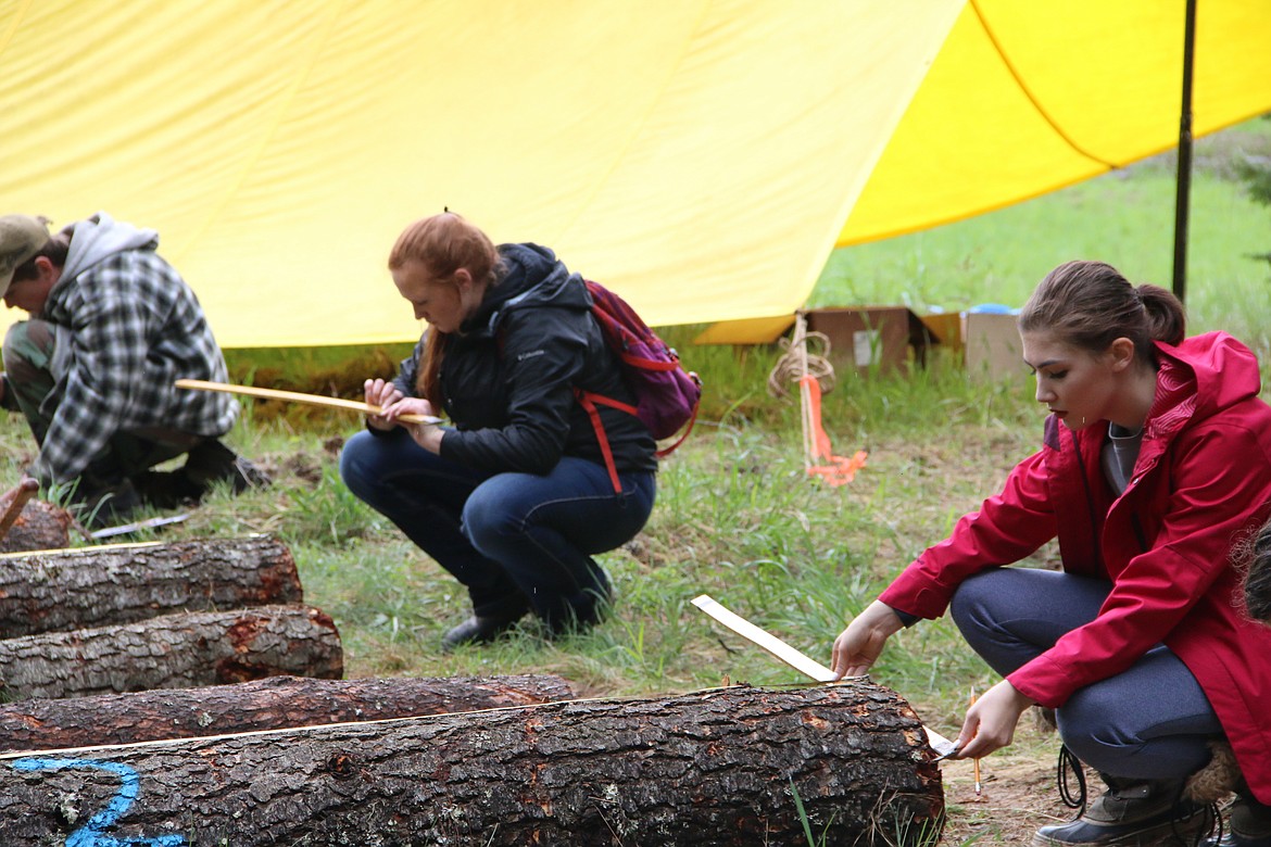 (Photo by MARY MALONE)
Log scaling was one of several skills required of Idaho State Forestry Contest participants on Thursday during the 2018 event, held at the Delay Farm in Careywood.