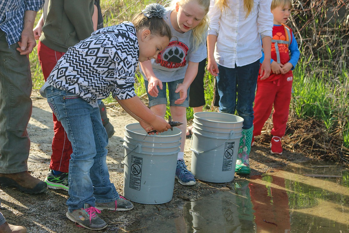 Photo by MANDI BATEMAN
By exposing young children to a hands on experience with nature, they are more likely to grow up with a sense of ownership of the environment.