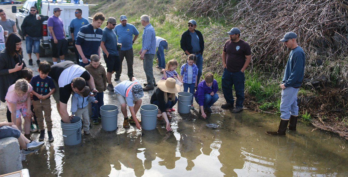 Photo by MANDI BATEMAN
Aquaculture Program Manager, Biologist Shawn Young (far right), oversaw the release of all the juvenile sturgeon, making sure each one was treated with care.