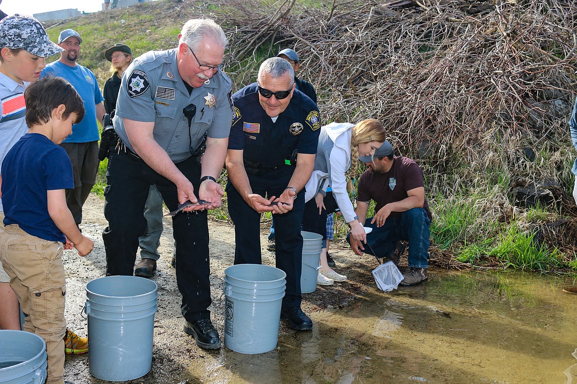 Photo by MANDI BATEMAN
Boundary County Sheriff Dave Kramer and Bonners Ferry Police Chief Brian Zimmerman prepare to release their sturgeon.