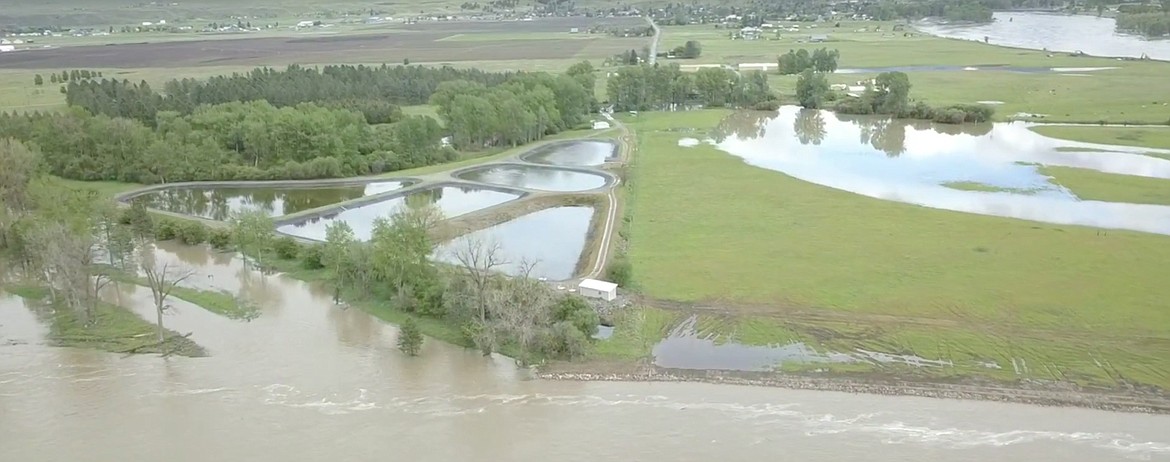 Plains Waste water Treatment Lagoons May 12, 2018 ariel view showing the rising water in the Clark Fork River and the retaining wall put in place by the US Army Corps of Engineers in the bottom right corner (Photo supplied by Plains-Paradise Rural Fire Department)