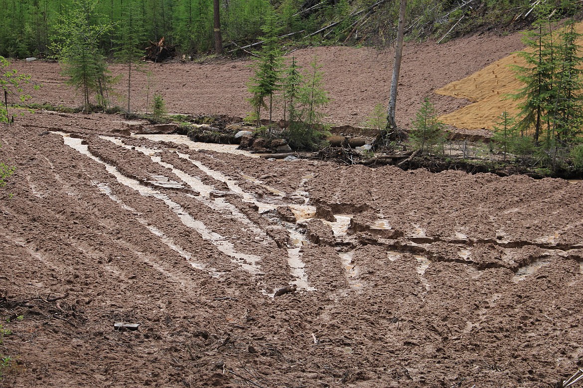 Flat Creek which is a Superfund site for the old Iron Mountain Mine, flooded, reseeding efforts were damaged and the creek carved a new channel. Crews will revisit the area for repairs after waters levels decrease. (Kathleen Woodford/Mineral Independent).