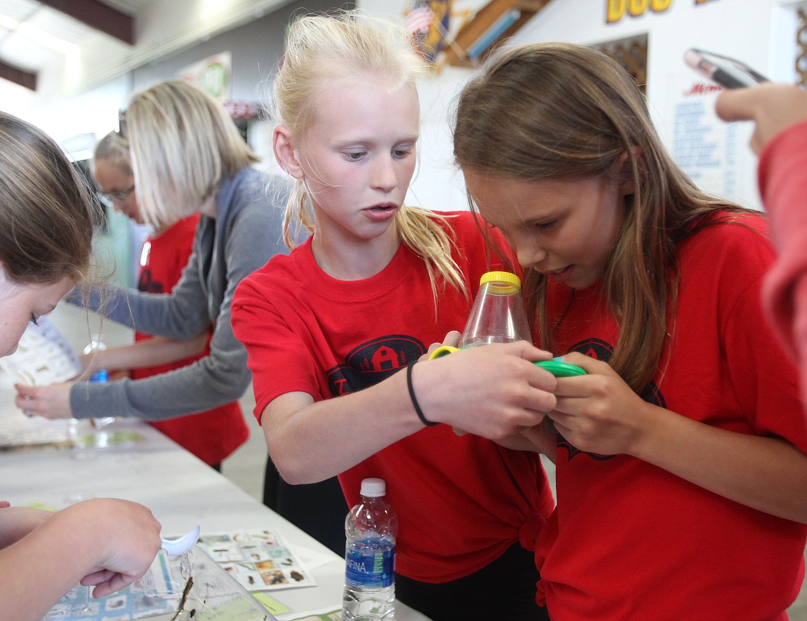 DEVIN WEEKS/Press
Garwood Elementary fifth-graders Landree Simon, left, and Jersi Fitting peer into a field microscope to get a better look at aquatic invertebrates at a water quality station at Farm to Table at the Kootenai County Fairgrounds Thursday.