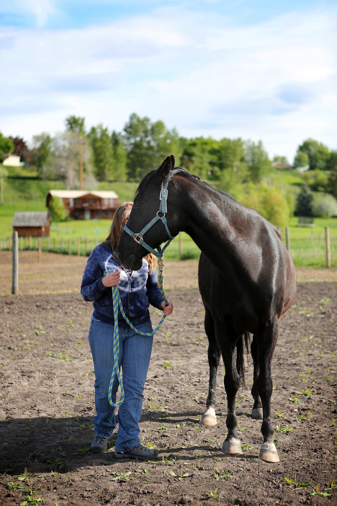 XXXX leads Tony around an arena Saturday morning at Ranch &#145;M in Kalispell. (Mackenzie Reiss/Daily Inter Lake)