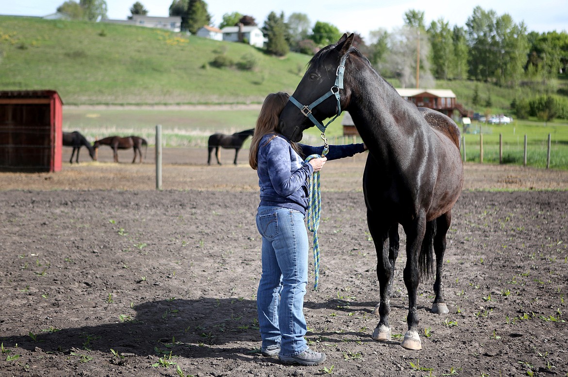 XXXXX bonds with Tony during an equine therapy session with Natalie Norrell at Ranch &#145;M in Kalispell. (Mackenzie Reiss/Daily Inter Lake)