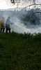 Lightning sparks fires across Boundary County