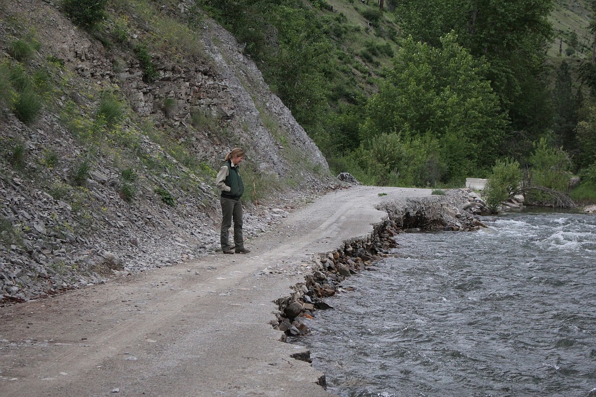 Forest Service Ranger Laura Johnson inspects a section of Fish Creek Road which was washed away during spring floods, leaving the road near mile marker 14 closed until repairs can be made. (Kathleen Woodford/Mineral Independent)