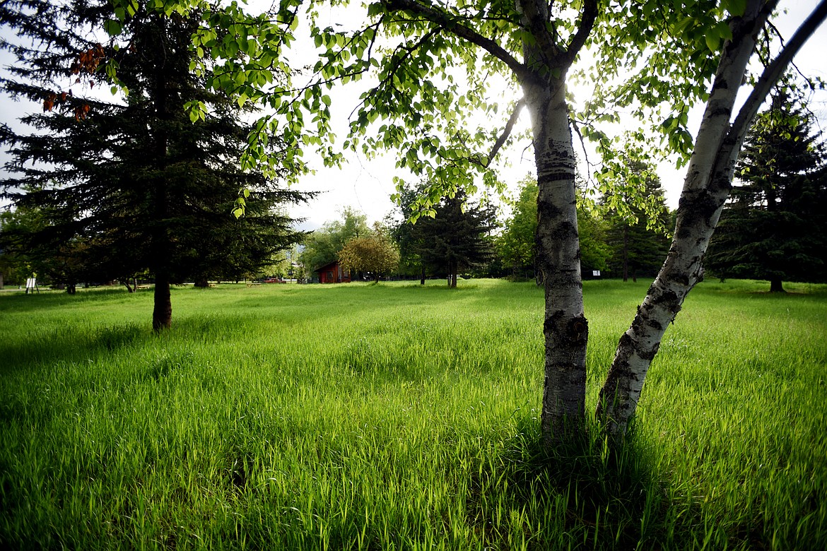 View of the James R. Bakke Nature Reserve on Wednesday morning, May 30, in Whitefish.(Brenda Ahearn/Daily Inter Lake)