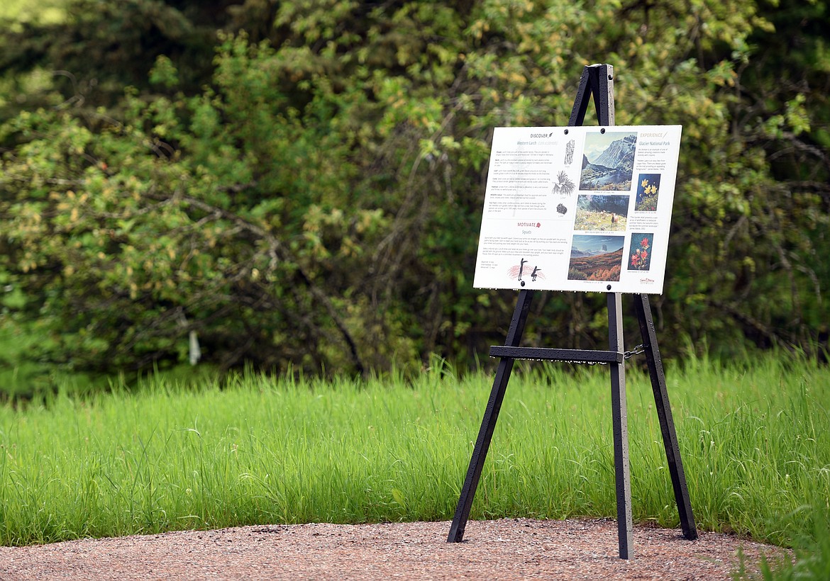 The James R. Bakke Nature Reserve has a quarter mile trail as well as several informational signs about Bakke and his artwork.(Brenda Ahearn/Daily Inter Lake)