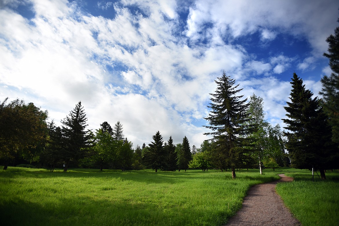 View of the James R. Bakke Nature Reserve trail on Wednesday morning, May 30, in Whitefish.(Brenda Ahearn/Daily Inter Lake)