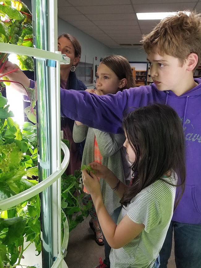 Photo by MANDI BATEMAN
Fifth grade teacher Lyndsay Hart, with students Allie Baird, Riley Thompson, and Sydney Beckle, all sample leaves off of their growing vegetables.