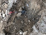 Testing soils helps determine fertilizer needs