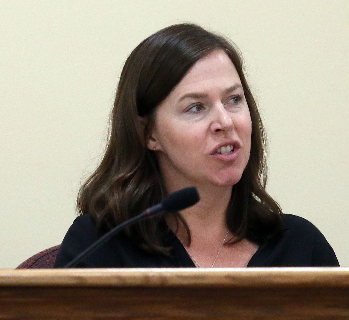 Board member Lisa May asked for and received a temporary halt to a proposed memorandum of understanding with the city of Hayden Monday night. The MOU will come up again for approval at the July 2 board meeting. (JUDD WILSON/Press)