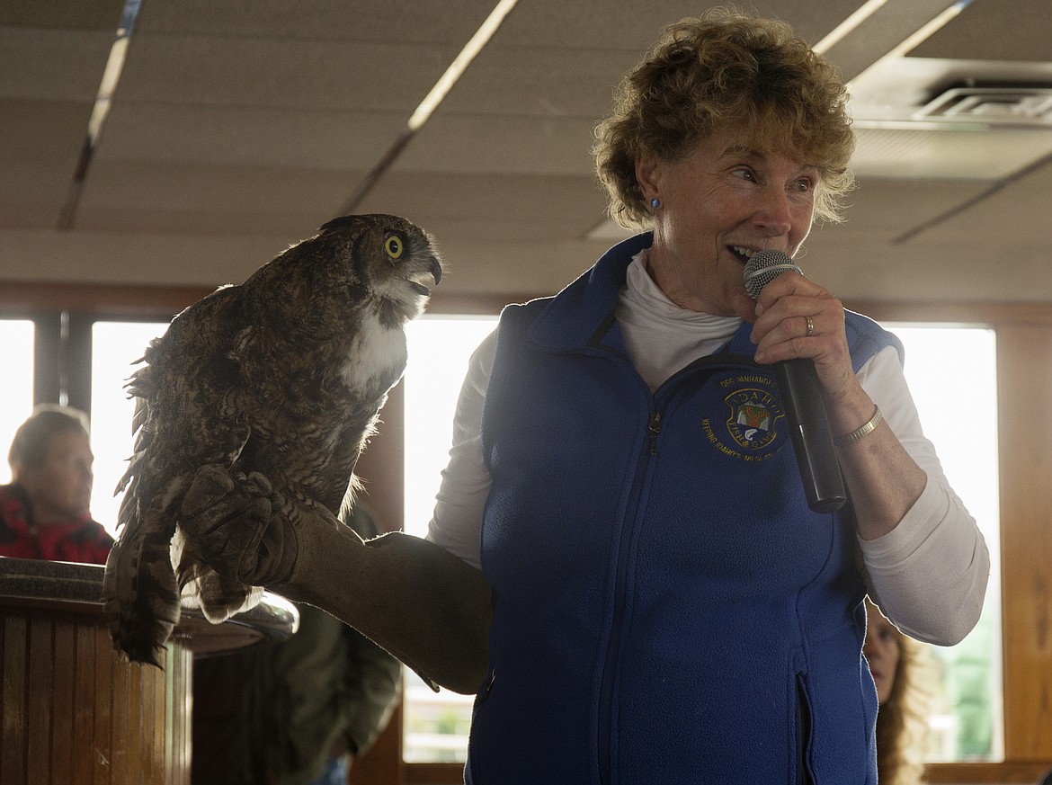Kris Buchler, with Coeur d'Alene Audubon, hold up &quot;Jack,&quot; a great-horned owl during an Osprey Cruise in 2016. (LOREN BENOIT/Press File)