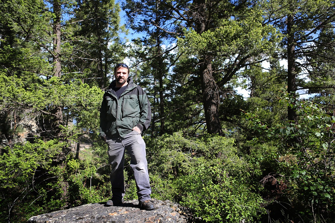 AVID MOREL PICKER Matt Opalka, 40, of Columbia Falls, is pictured at Lone Pine State Park Monday. (Mackenzie Reiss/Daily Inter Lake)