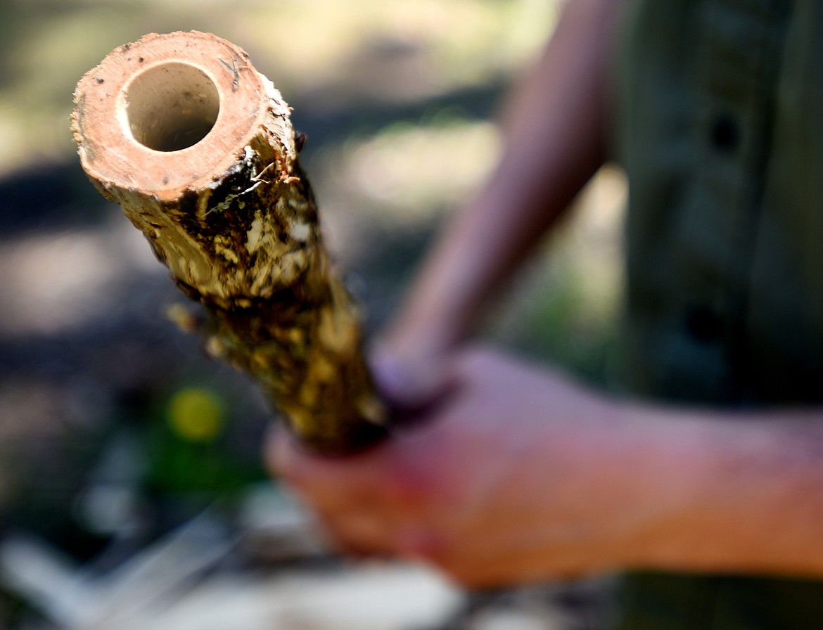 Niko Keys of Cedar Cabin Music shows a branch he is in the process of turning into a flute. Keys prefers to use natural found woods, native to the area.(Brenda Ahearn/Daily Inter Lake)