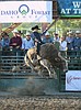 Bulls, cowboys face off at rodeo