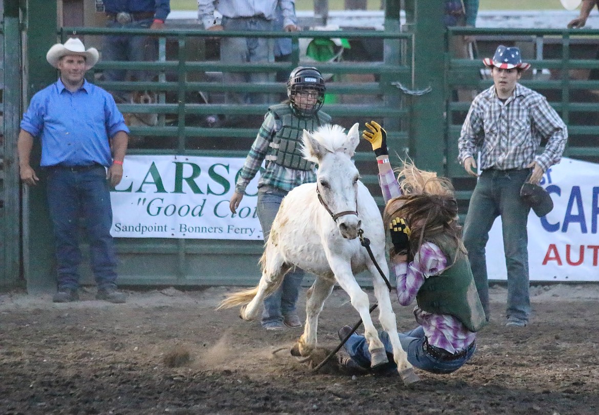 Photo by MANDI BATEMAN
Bull Bash 2018. Wild ponys can be tough too.