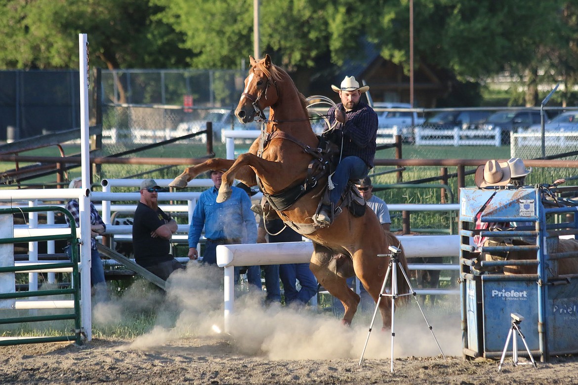 Photo by MANDI BATEMAN
Bull Bash 2018. This roping horse was excited to get the job done.