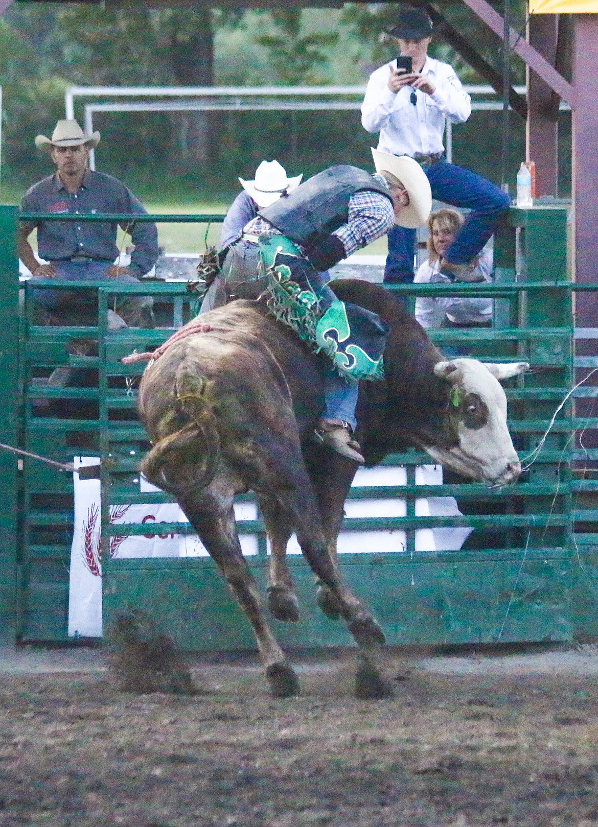 Photo by MANDI BATEMAN
Bull Bash 2018.