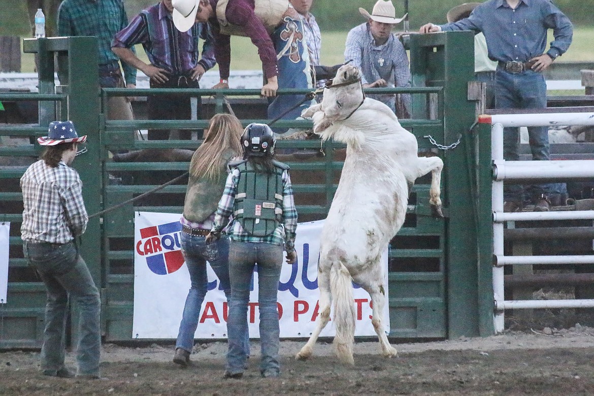 Photo by MANDI BATEMAN
Bull Bash 2018. The winning team during the Wild Pony Race, trying to subdue their pony.