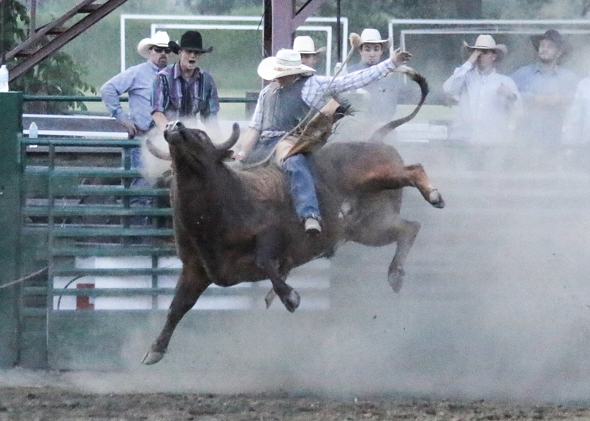 Photo by MANDI BATEMAN
Bull Bash 2018.