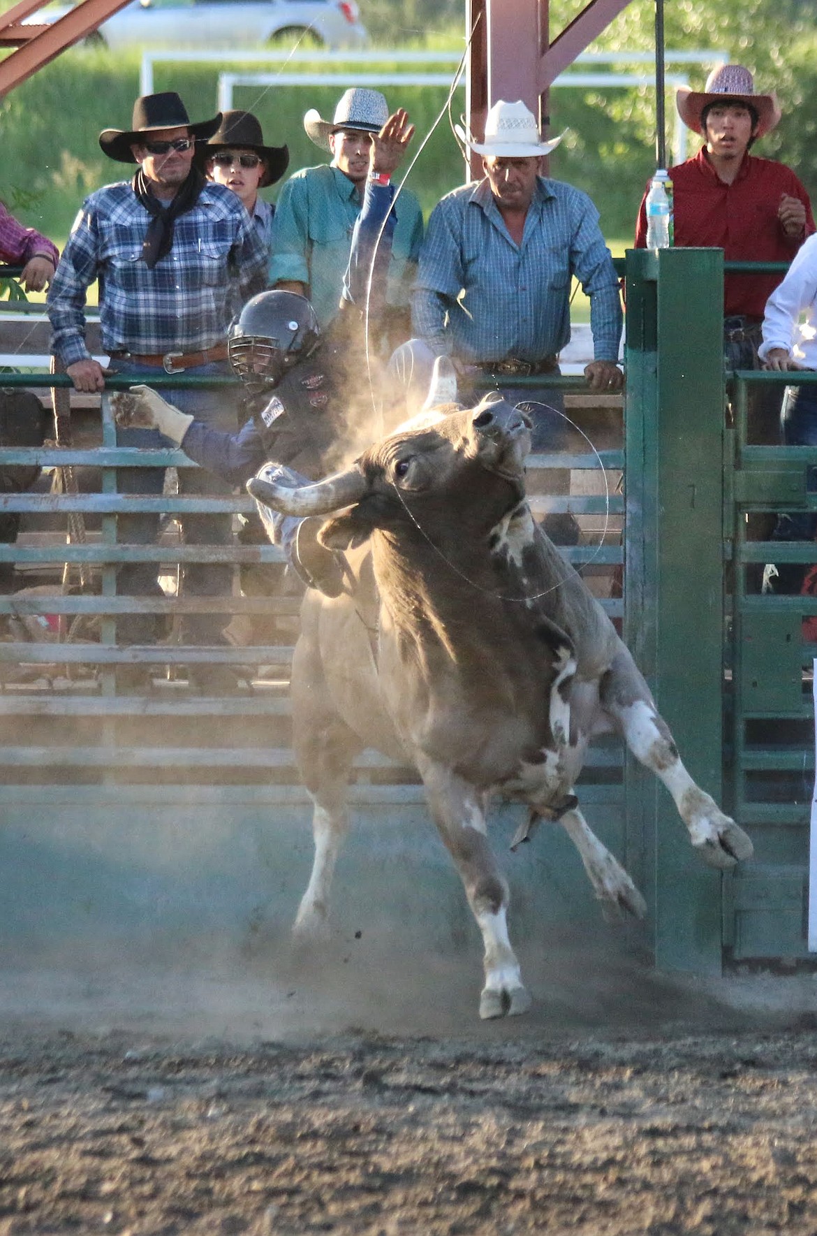 Photo by MANDI BATEMAN
Bull Bash 2018.