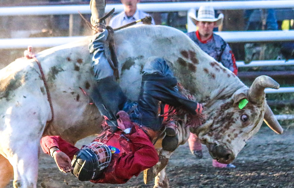 Photos by MANDI BATEMAN
Riders hang on for dear life at the 2018 Bull Bash last weekend at the Boundary County Fairgrounds.