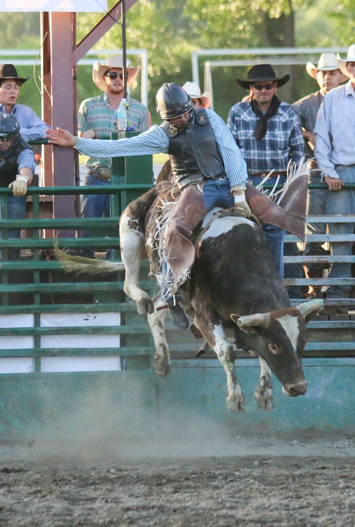 Photo by MANDI BATEMAN
Bull Bash 2018.