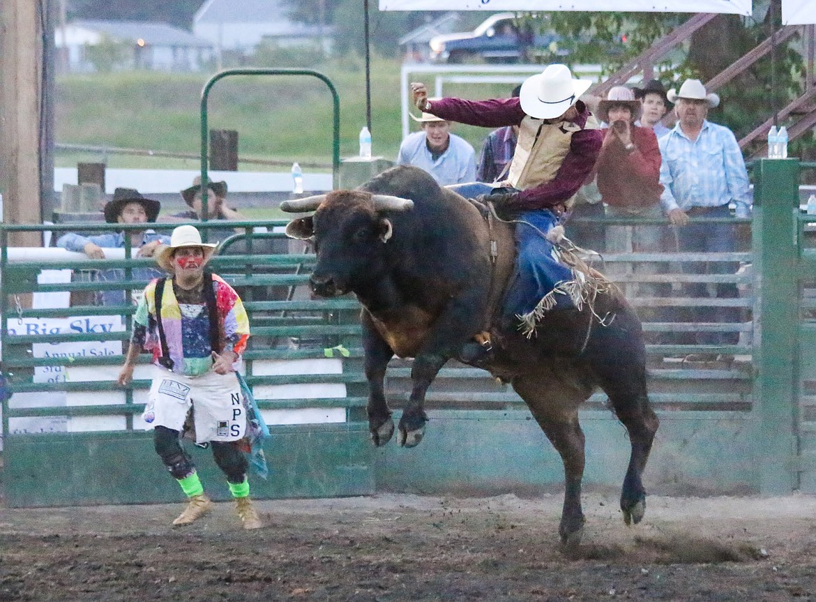 Photo by MANDI BATEMAN
Bull Bash 2018. Payton Fitzpatrick keeps his seat ready for the bulls next trick, as the rodeo clown backup keeps a keen eye on the situation.