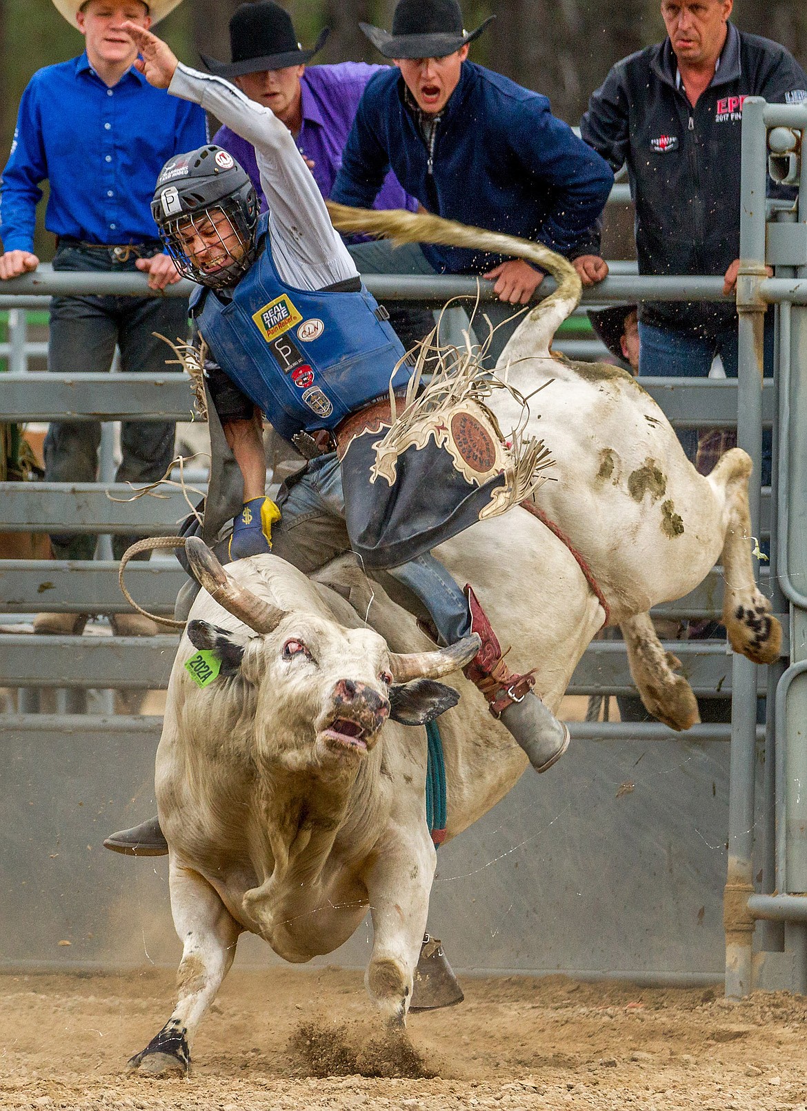 Shawn Best II of Omak, Washington, competes in the Incredi-Bull bull riding event at J. Neils Park in Libby on Saturday, June 9, 2018. (John Blodgett/The Western News)