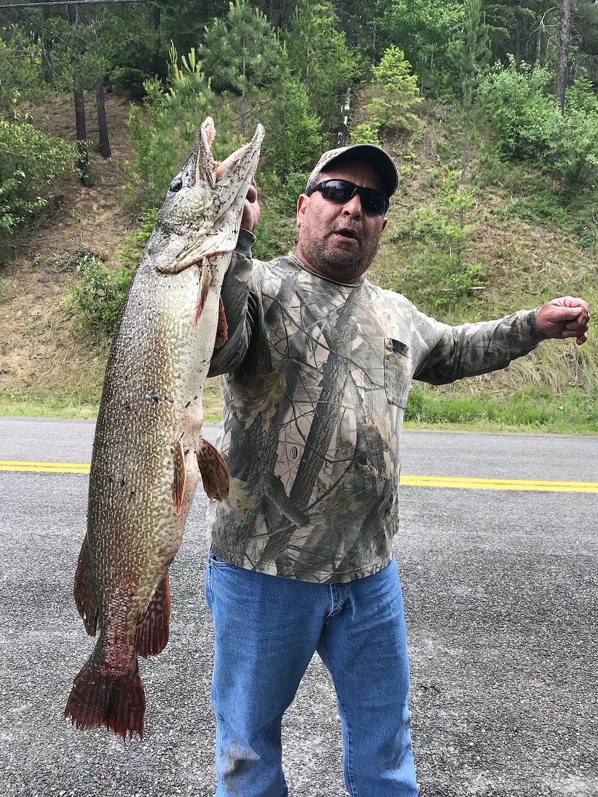 Casual cast nets 25- pound pike for Hayden man fishing from shore
