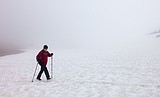 Logan Pass opens for the season