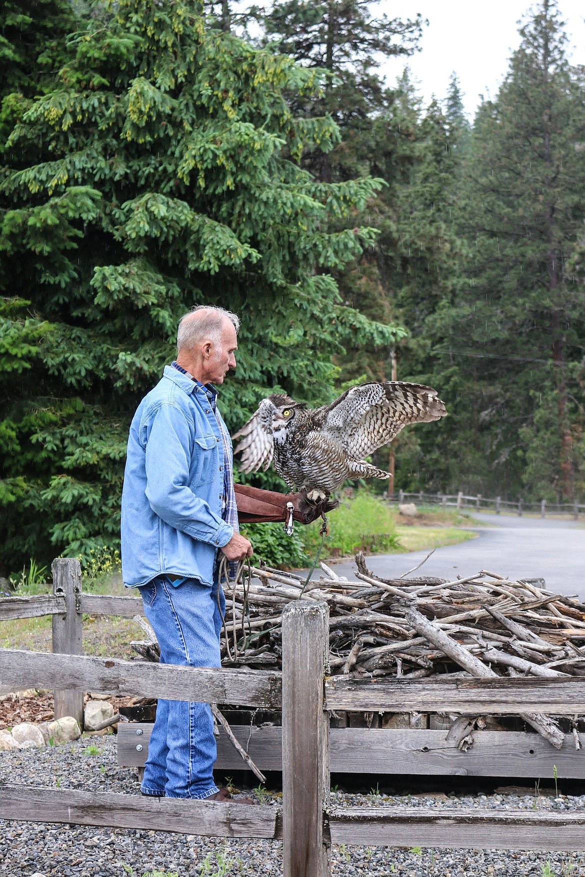 Photo by MANDI BATEMAN
Wildlife rescuer Ken English, who specializes in birds of prey, brought &#147;Hoot,&#148; a great horned owl.