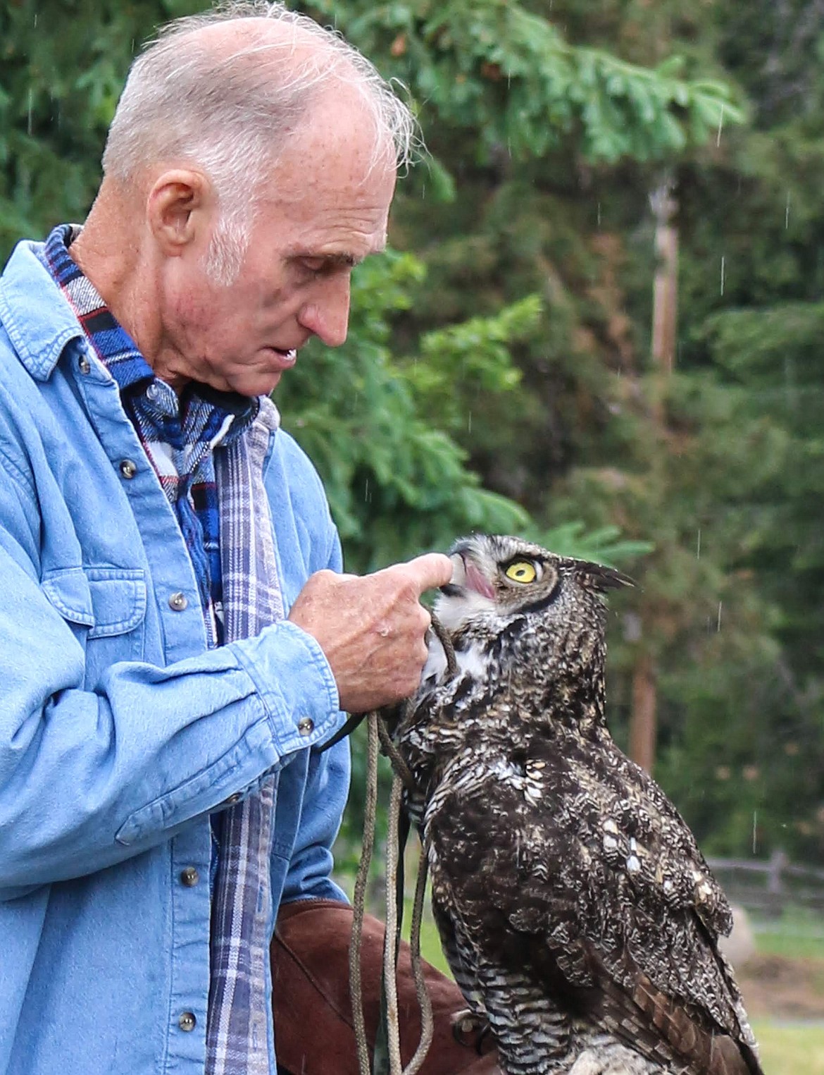 Photo by MANDI BATEMAN
After Hoot was rescued by Ken English six years ago, they have developed a very close bond, offering the photographers a rare opportunity to see an owl up close.