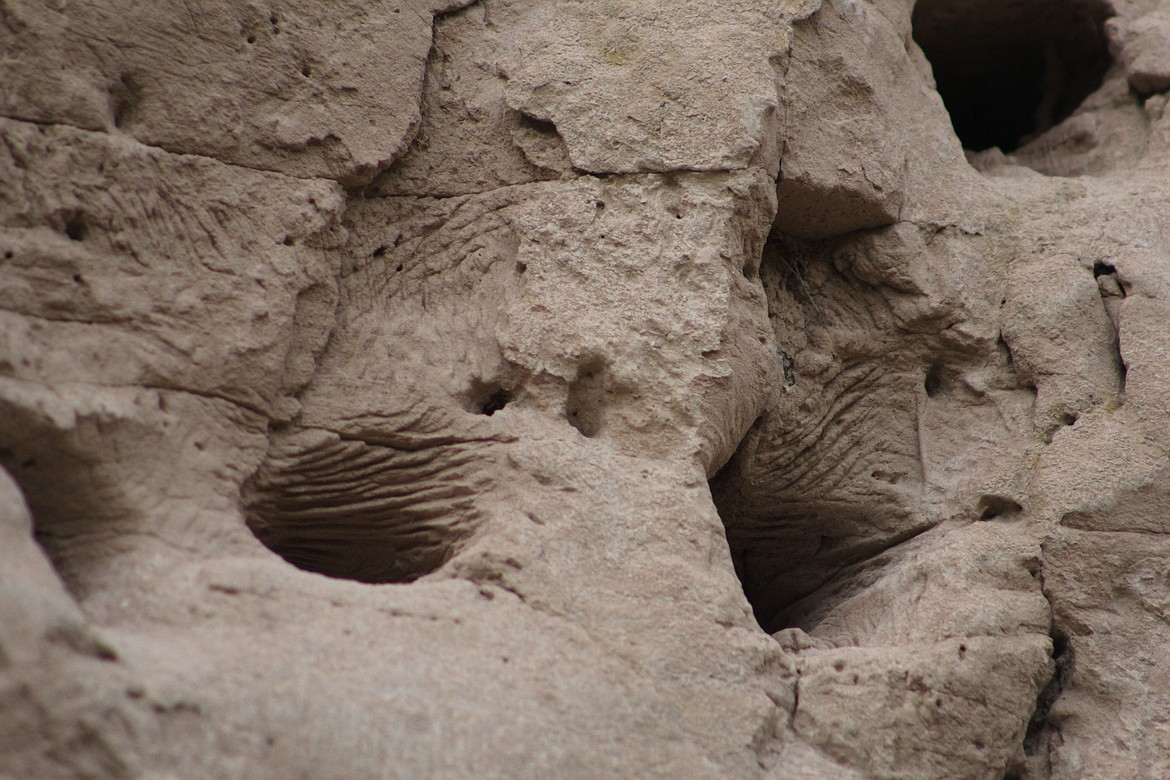 Male Bank swallows dig burrows using their small bill, feet and wings 25 inches deep. Then the female builds a nest out of straw, grasses, leaves or rootlets.