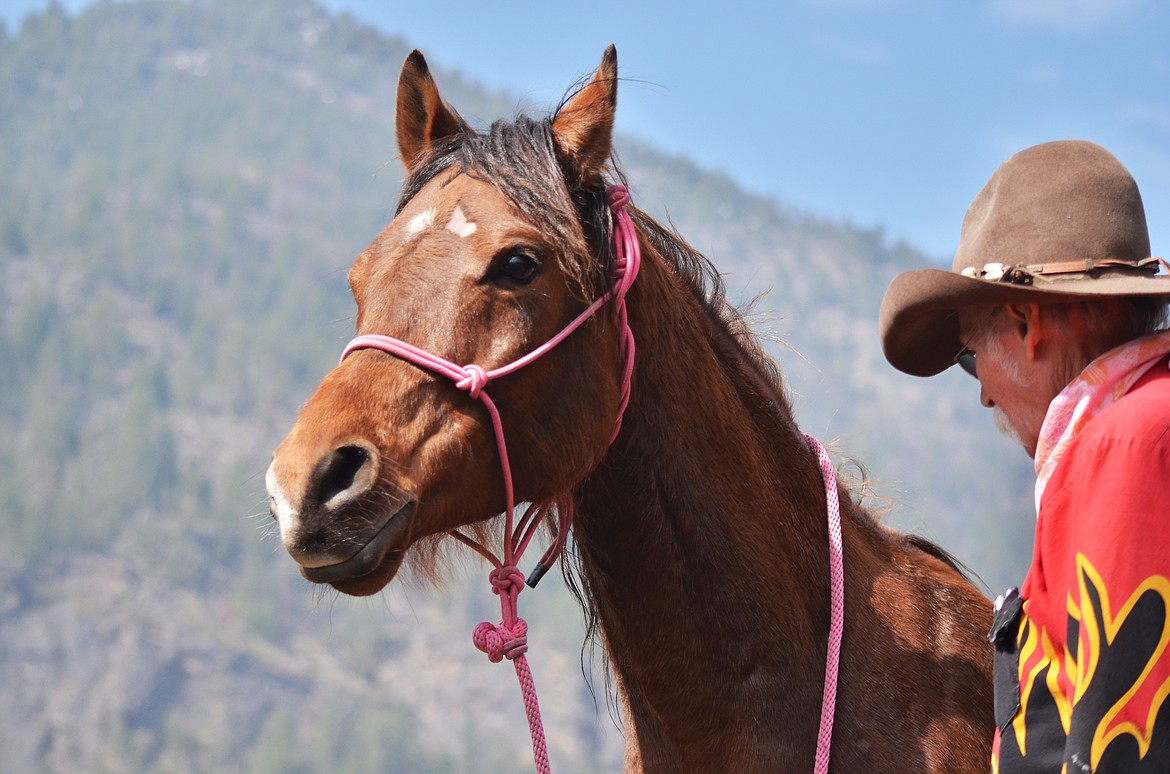 Licking lips and intently listening to Thompson, they can now move to the next lesson for the day (Erin Jusseaume/ Clark Fork Valley Press)