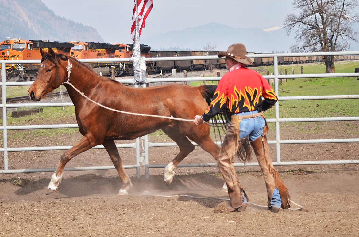 Full of fire, Thompson begins to work with the unsettled bay gelding (Erin Jusseaume/ Clark Fork Valley Press)