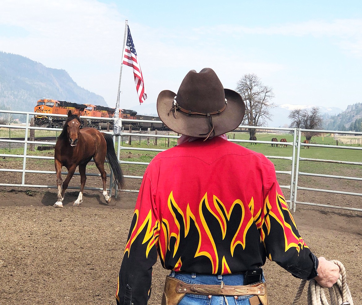 Cowboy Johnny steps into the round pen ready to connect with the little bay.