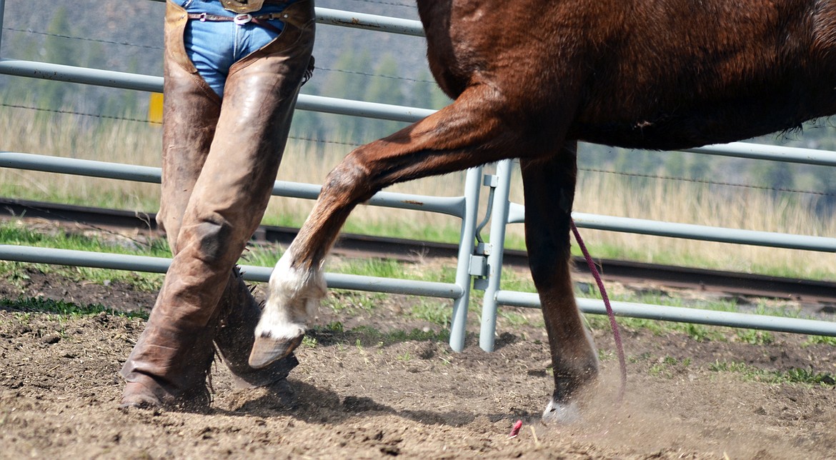 When you have control over their feet, you can work with their mind and a beautiful dance can occur with the connection (Erin Jusseaume/ Clark Fork Valley Press)