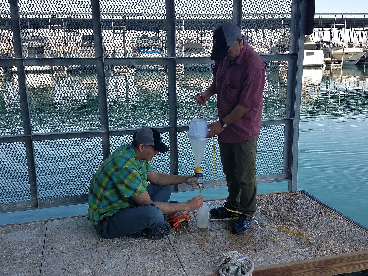 Flathead Lake Biological Station researcher and technologist Cody Youngbull (left) and Director Jim Elser sample water from Lake Mead searching for traces of mussel DNA using their &#147;DNA Tracker.&#148;