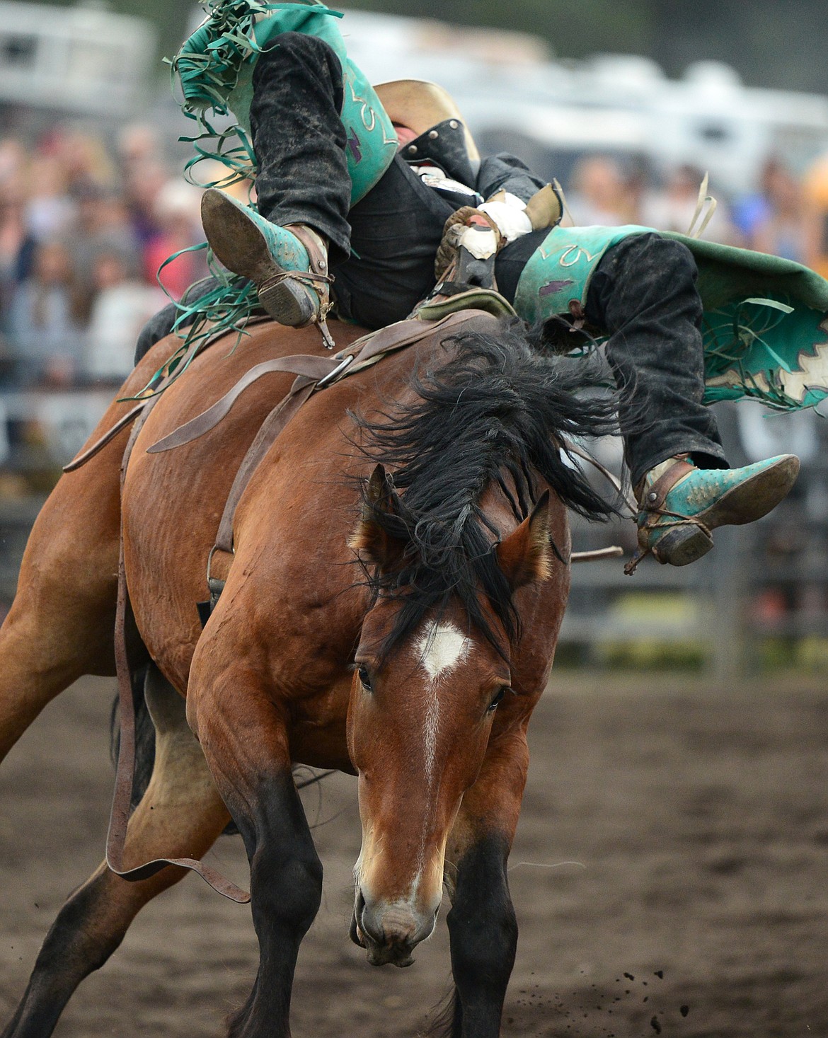 Cache Hill, of Baker, hangs on to his horse Panama Jack during the Bareback Riding event at the Bigfork Summer Pro Rodeo on Friday. (Casey Kreider/Daily Inter Lake)