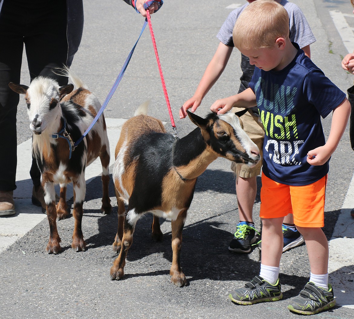 (Photo by CAROLINE LOBSINGER)A youngster pets a goat during the Sandpoint Lions' Grand Parade on the Fourth of July Wednesday.