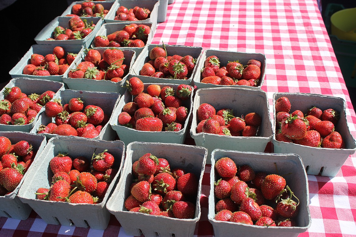 Photos by TANNA YEOUMANS
The Tuesday market provides Boundary County residents with an additional source to buy fresh and local produce. It is open from 3-7 p.m. at Yoder&#146;s Fresh Market.