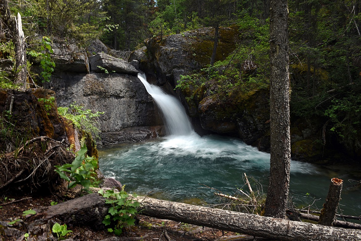 A small waterfall splashes into Bond Creek in Flathead National Forest near Swan Lake on Thursday, June 21. (Casey Kreider/Daily Inter Lake)