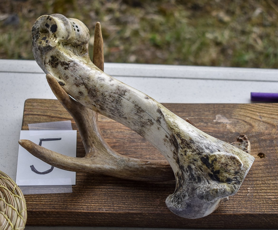 The &#147;Bone Phone&#148; art piece donated by Colin Breen for silent auction during the sixth annual Yaak School Arts and Crafts Fair Saturday, June 30. (Ben Kibbey/The Western News)