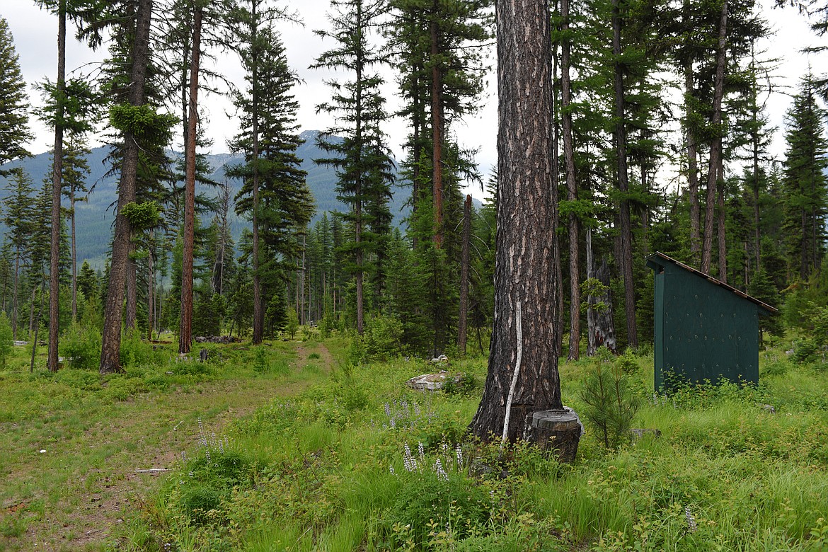 Faint tire tracks lead through the forest to other grave sites at Henry Meyer III&quot;s natural cemetery property near Swan Lake on Thursday, June 21. (Casey Kreider/Daily Inter Lake)