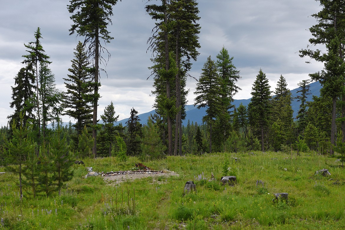 A grave site in a meadow at Henry Meyer III&quot;s natural cemetery property near Swan Lake on Thursday, June 21. (Casey Kreider/Daily Inter Lake)