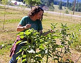 Athol Orchards brings it back to the farm